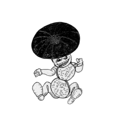 Soil Trooper 1 Ha ($55 incl.GST)